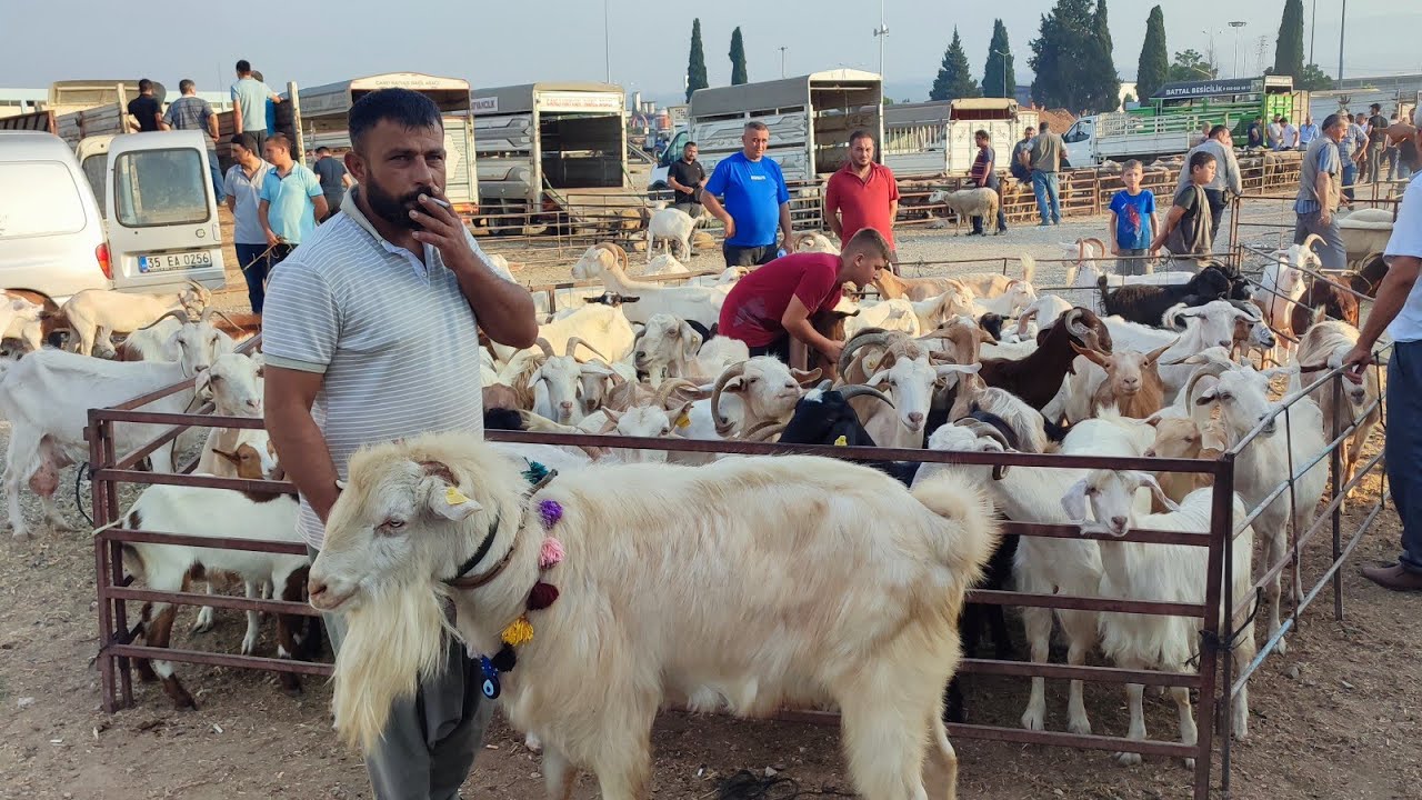 BU PAZARDA PİYASA YERLERDE.