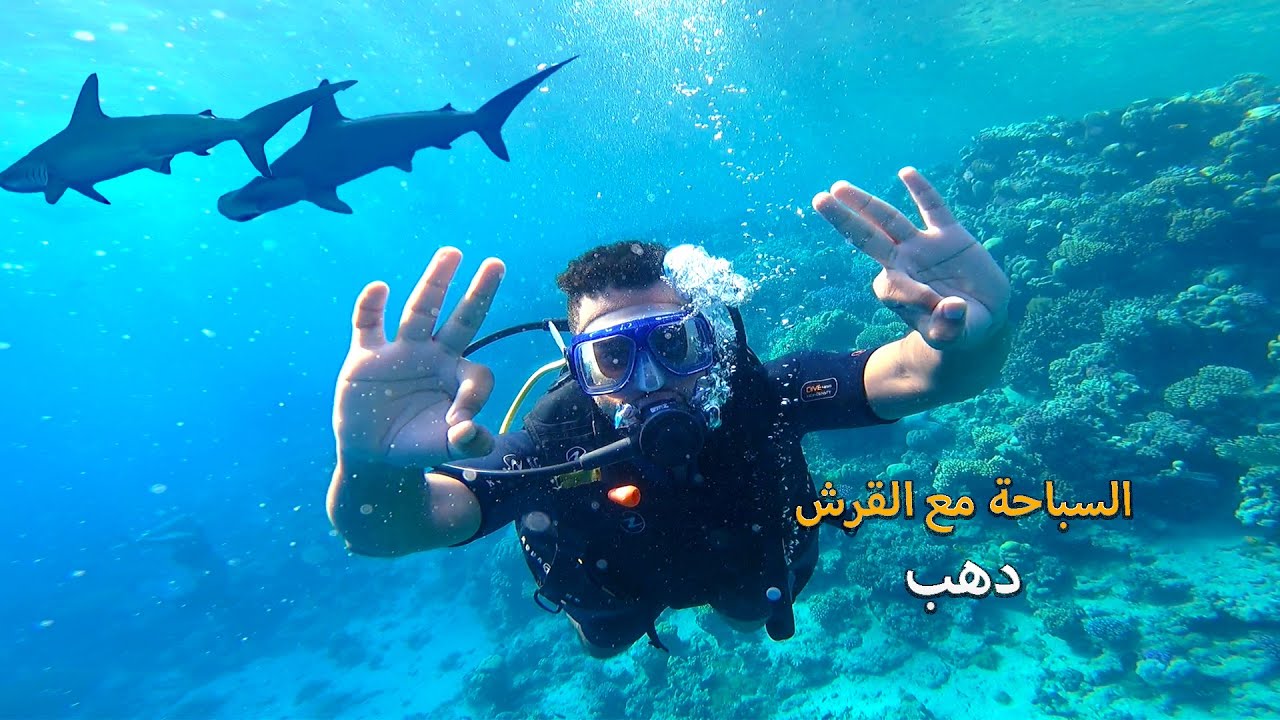 جربت الغوص في دهب _مع سمك القرش-Dahab Egypt