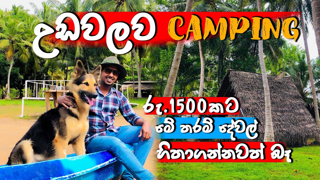 Udawalawe camping | උඩවලවේ ඔබේ නිදහස උපරිමයෙන් භුක්ති විදින්න | Budget hotels udawalawa sri lanka