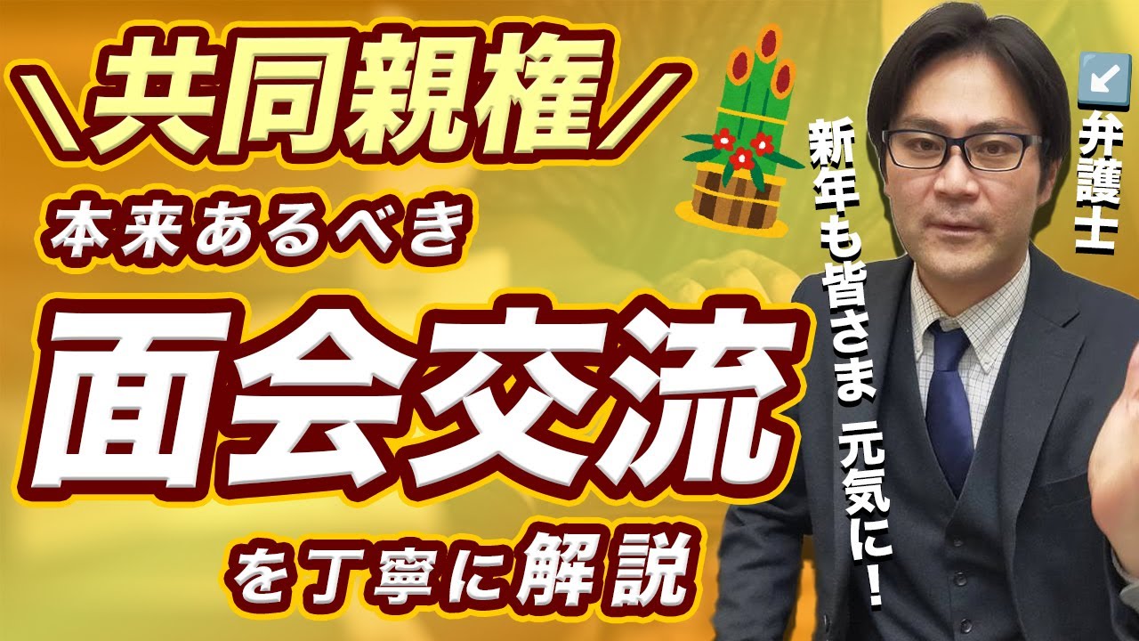 【共同親権】『面会交流』は本来どうあるべきか、丁寧に解説！