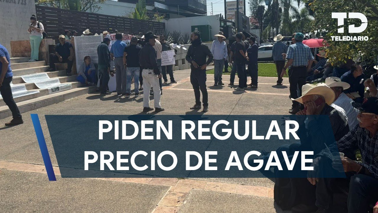 Productores de agave se manifiestan por desplome de precios; kilo bajó de 30 a 2 pesos