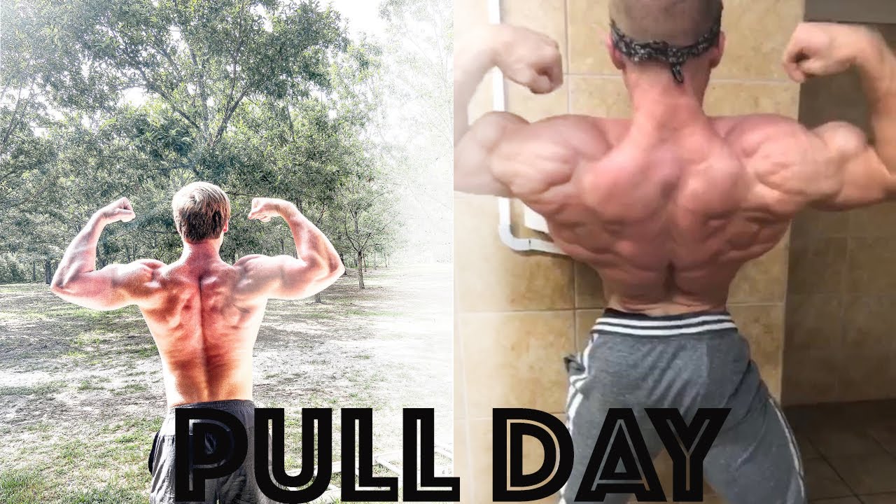HOW TO BUILD A BIG BACK W/ JOSH KENYON