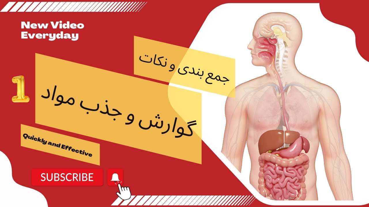 جمع بندی و نکات کنکوری گوارش| فصل۲ زیست شناسی ۱ دهم تجربی