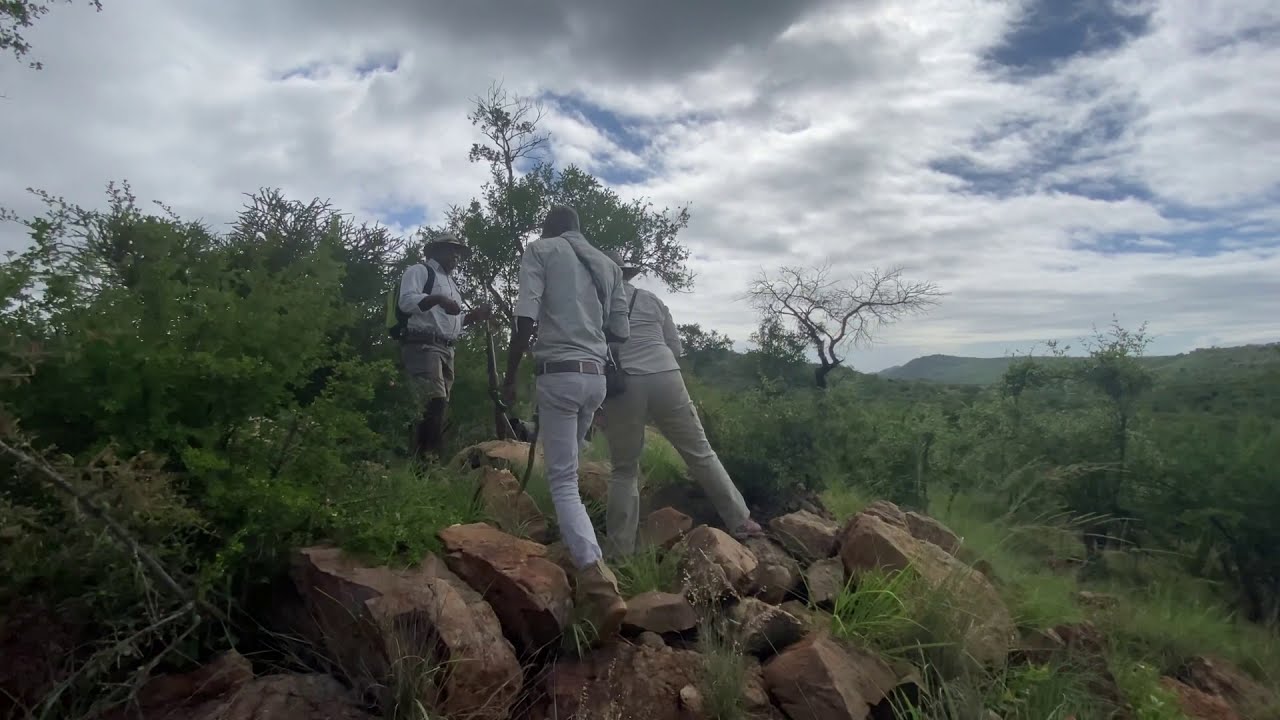 Madikwe Game Reserve Walking Safari