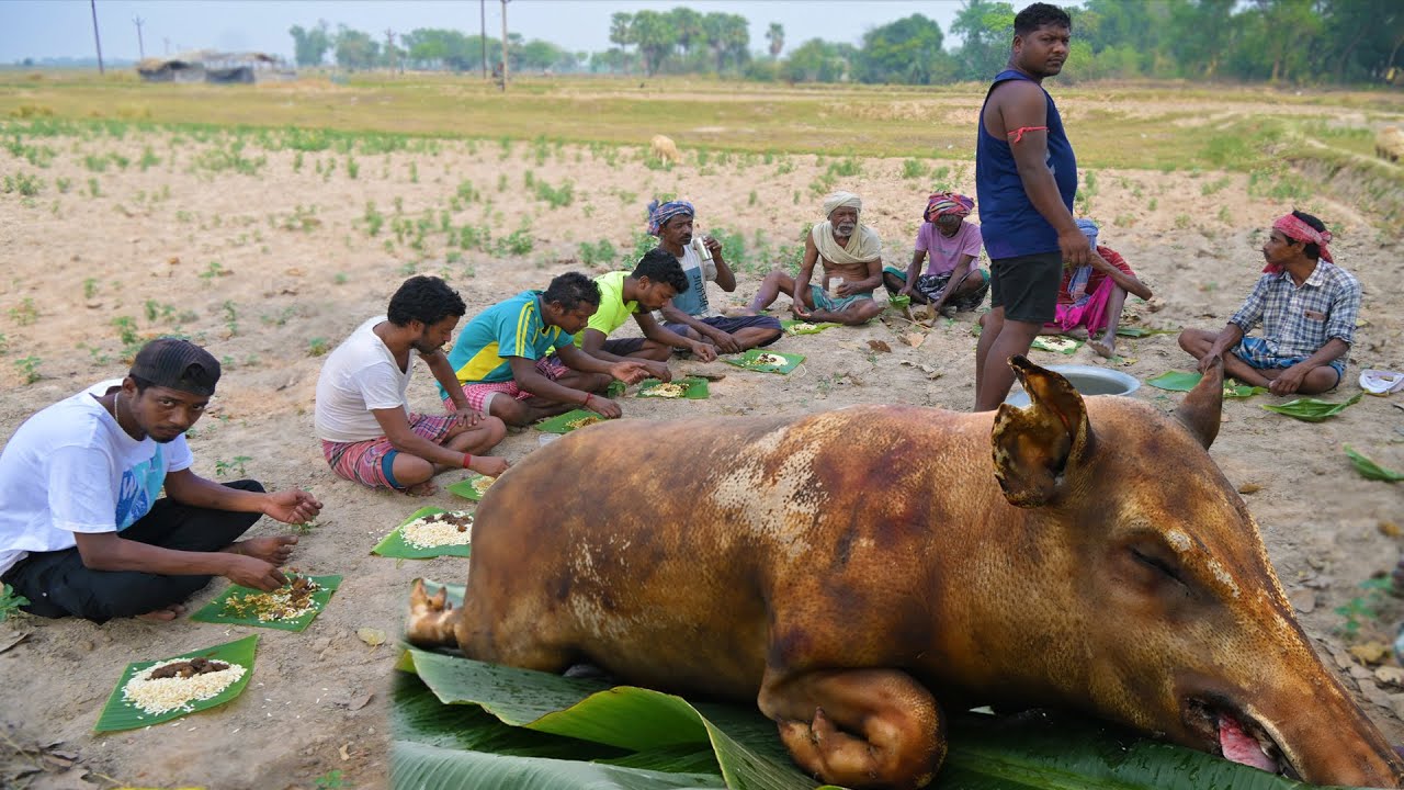The Santali Tribe's Secret to Cooking Perfect Pig Meat || tribe cooking