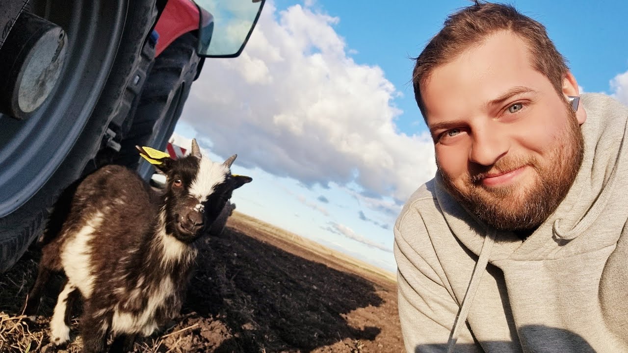 #144 Išvarėm su ožka paskust laukų! 🐐👍🫡