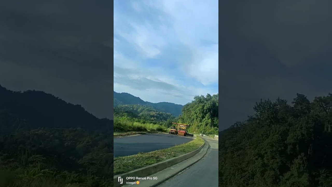 way to dolu tea estate #ytshorts #teagarden