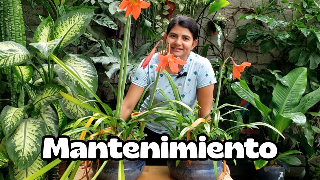 Trucos de jardinería