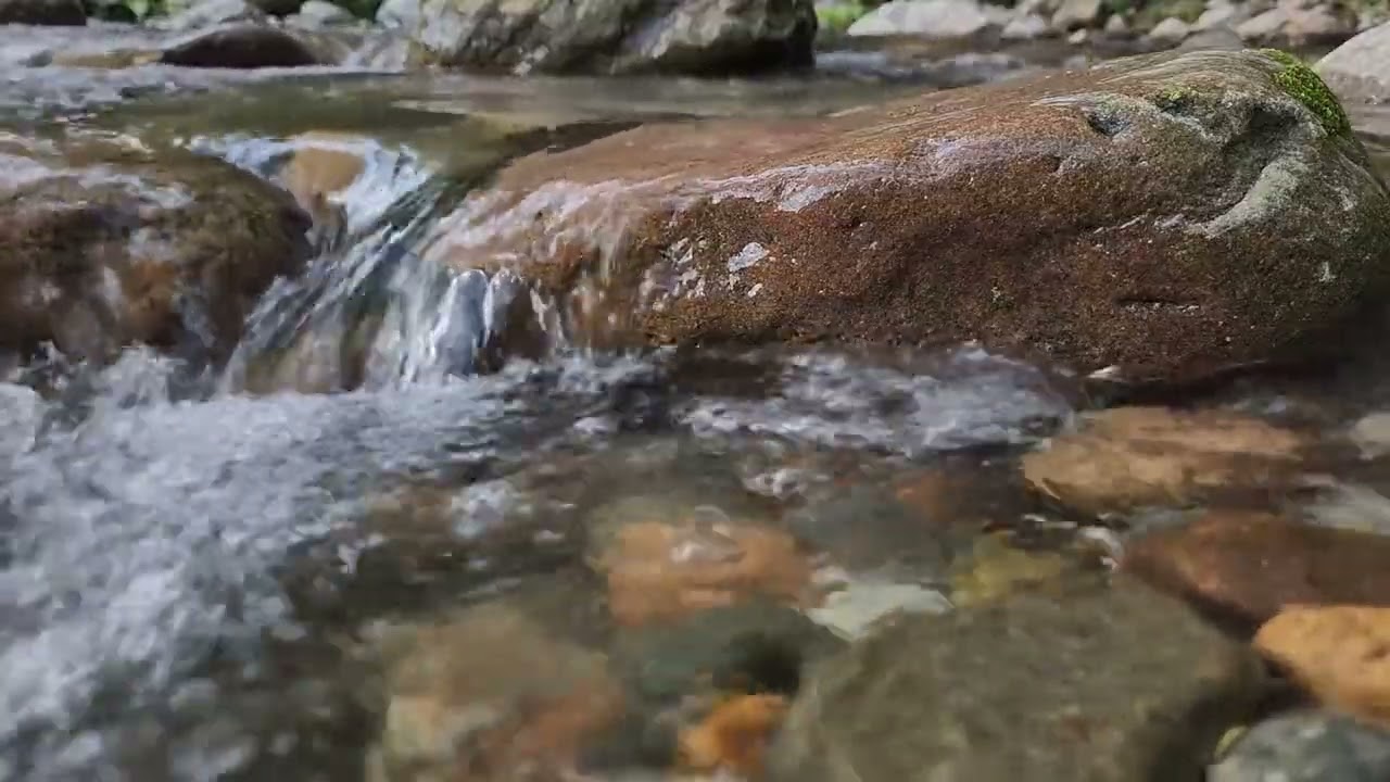 Forest Ambience | Birds Singing & Beautiful Stream Sounds for Peaceful Sleep,Deep Rest,Medicine ASMR