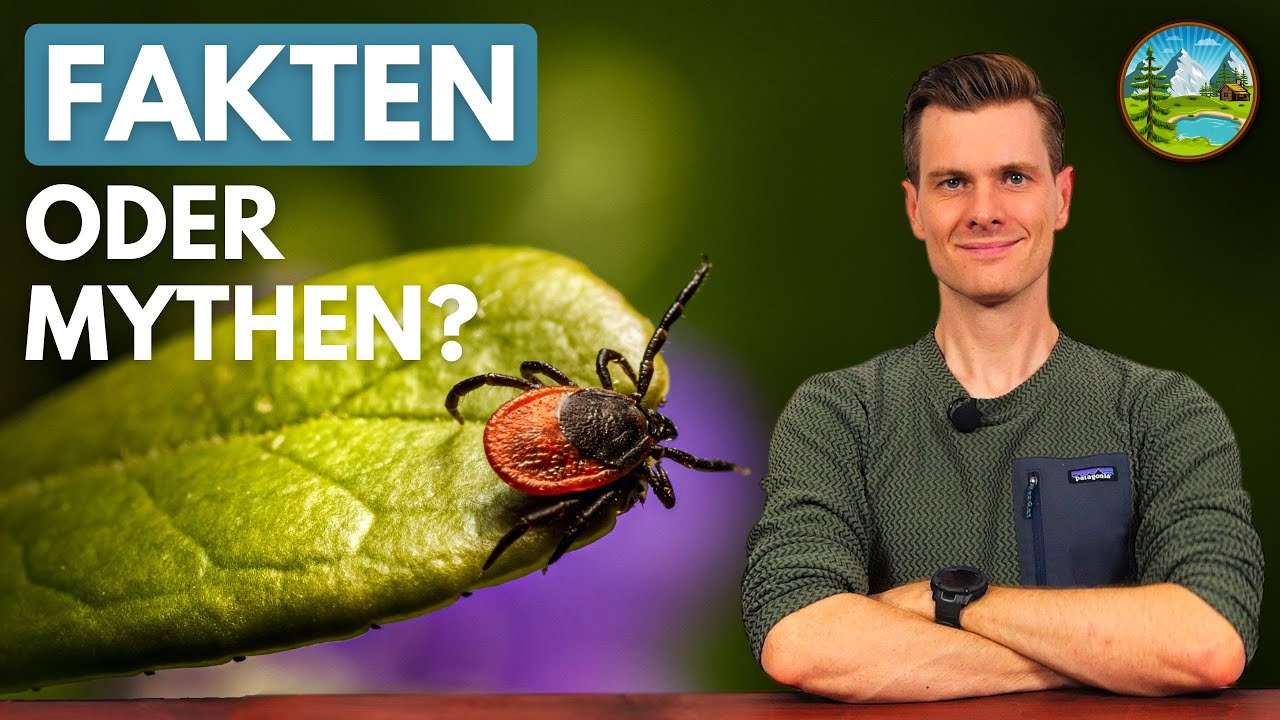 Zecken-Panik? Häufige Irrtümer & Reale Lösungen auf Tour