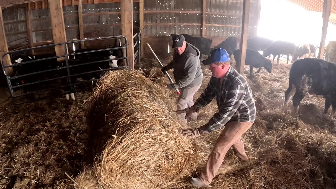 Our Family Farm fighting extreme cold