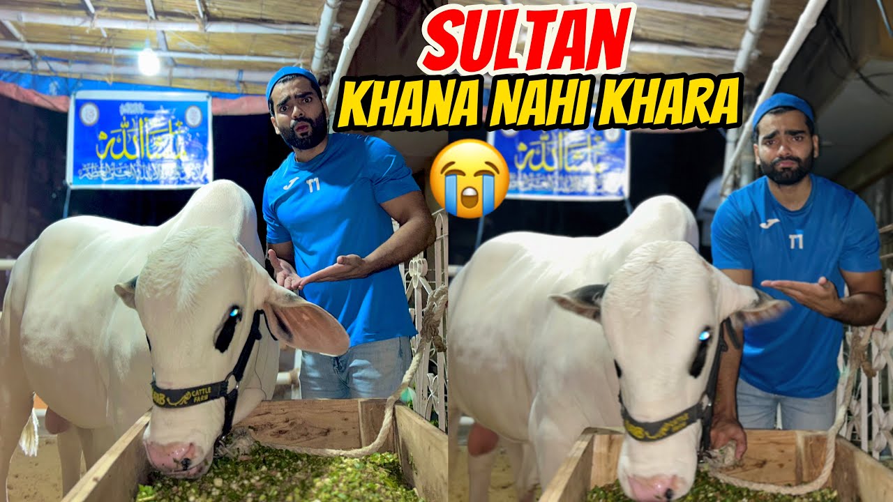 Sultan Khana Nahi Kharaha😩| Bachon Ka rush jama hogaya daikhne ke liye😍❤️