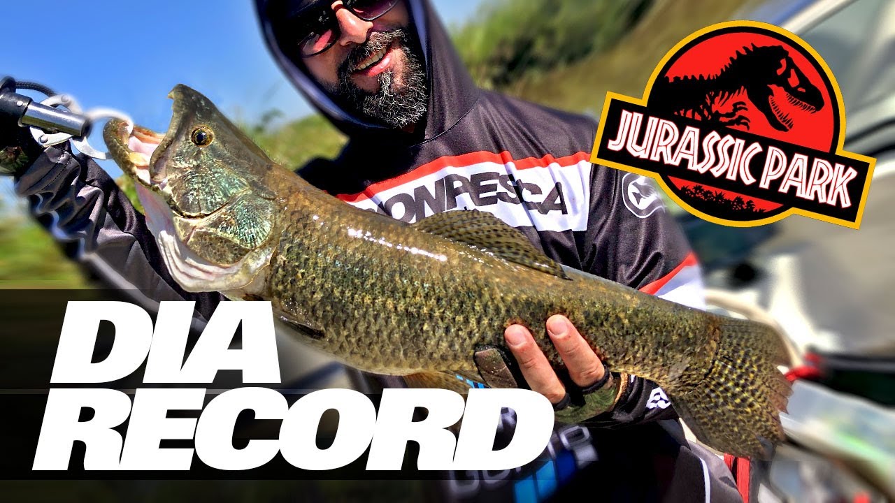 DIA RECORD | Calor, Tarariras, Dorados, Bagres y Patíes | Embarcados en el Río de la Plata