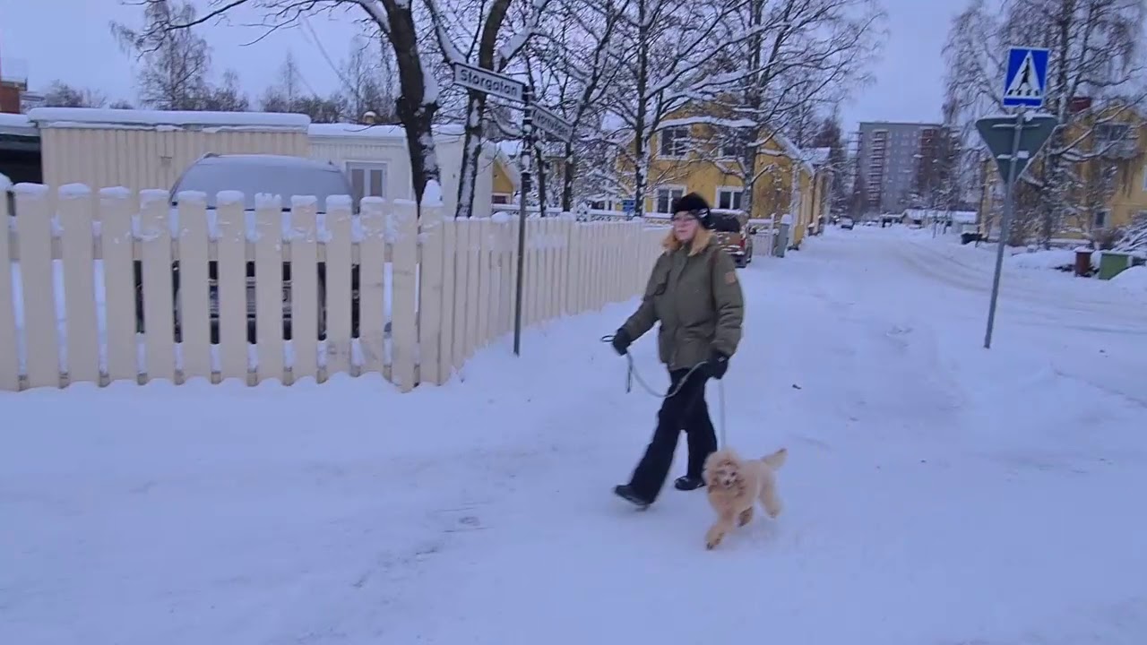 Umeå,Västerbotten , sweden .