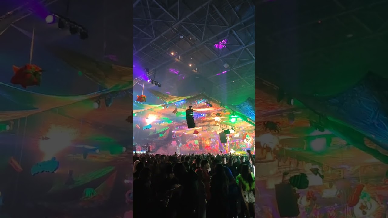 ELROW Enchanted Forest 2024 Sofia  #electronicmusic #festival #techno #party