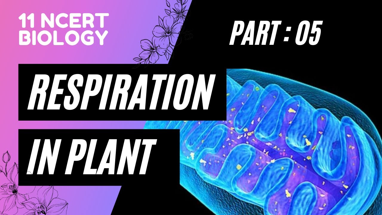 Respiration _Electron Transfer Chain Part-5