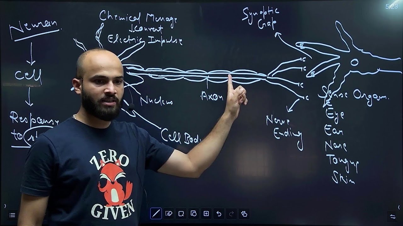 Control and Coordination Class 10 (Part 2) NCERT | Nitin Sir |