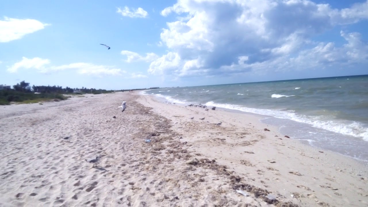 Playa sisal