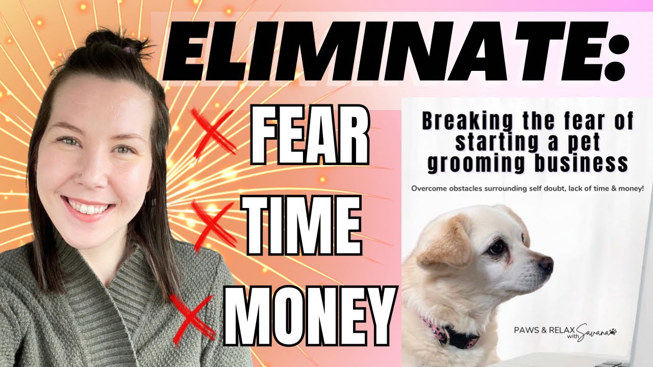 Pet Grooming Business on a BUDGET | Start NOW! | PET GROOMING CAREER