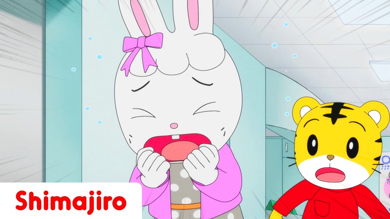 I'm Not Scared of the Hospital - Don't be scared of doctors! - Shimajiro new episode for kids