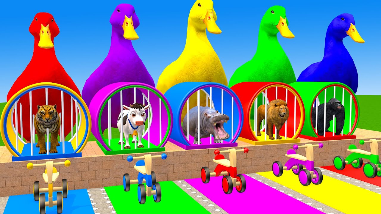 Long Slide Game With Cow Elephant Gorilla Hippopotamus Tiger 3d Animal Game Funny 3d Animals