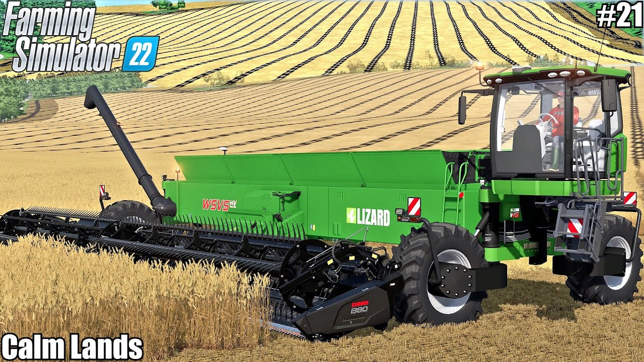 Testing a BIG HARVESTER in a large WHEAT field│CALM LANDS│FS 22│21