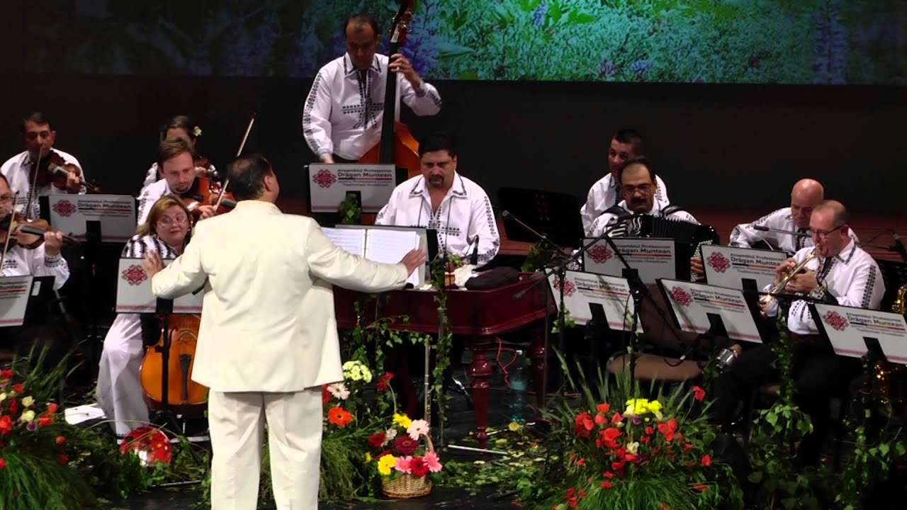 Orchestra Ansamblului Profesionist Drăgan Muntean - Suită