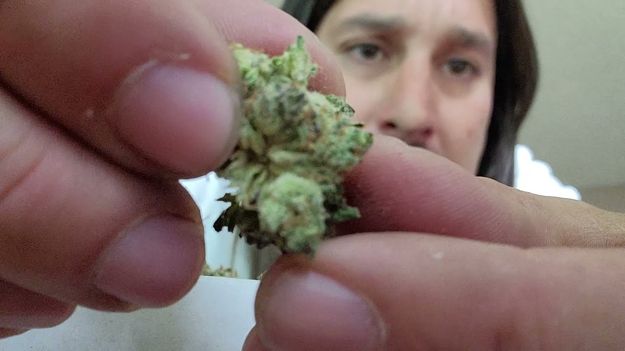 Dan's 420 Chronicles - Member OG / Weed Review 4/16/21