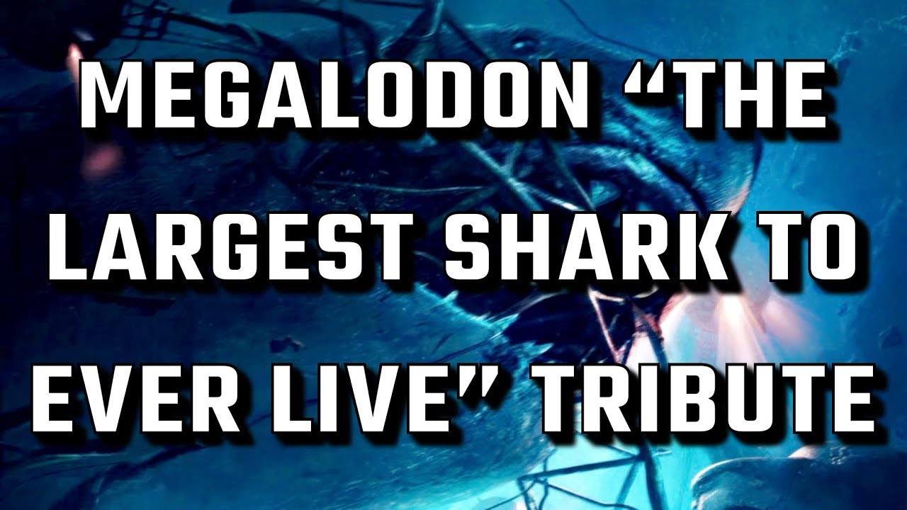 Megalodon Tribute || Throne || (2000 Subscriber Special)