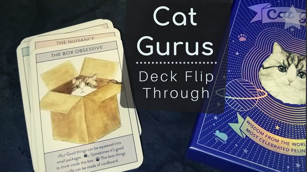 Cat Gurus Deck Unbox, Flip Through + 'Reading'