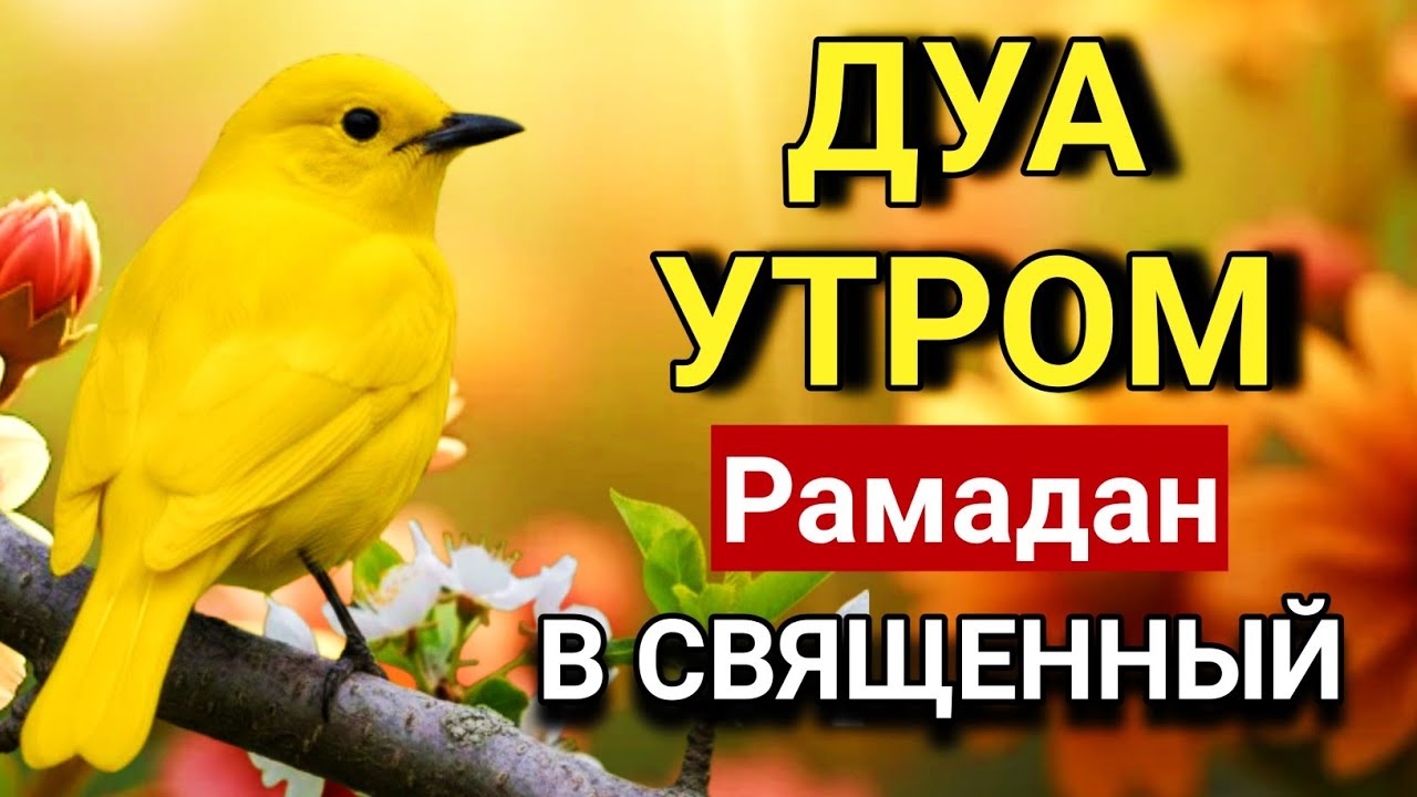 🌟💝 ОСОБОЕ УТРО В СВЯЩЕННЫЙ РАМАДАН ✨🤲