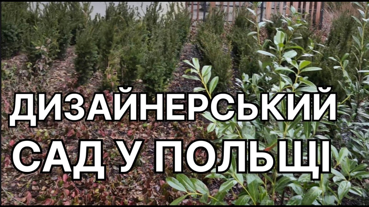 Садові Екскурсії в Польщі 🌿 Дизайнерський парк у Кракові