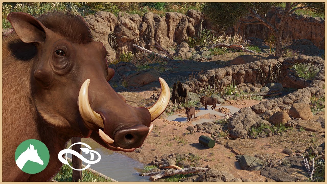 Warthog Habitat | Desert Adventure Park | Planet Zoo