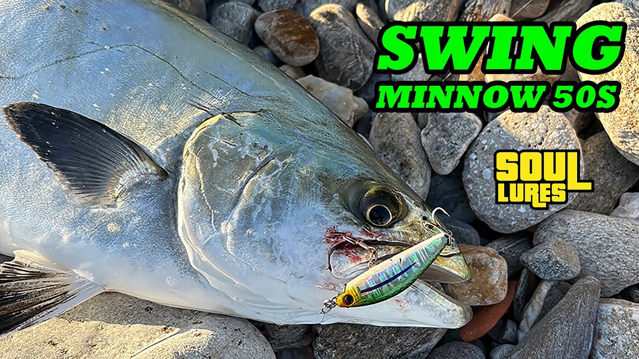 ΜΑΝΙΑΣΜΕΝΗ ΛΙΤΣΑ στο Swing Minnow 50S😈