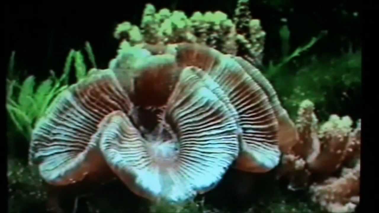 Noorder Dierenpark - Biochron