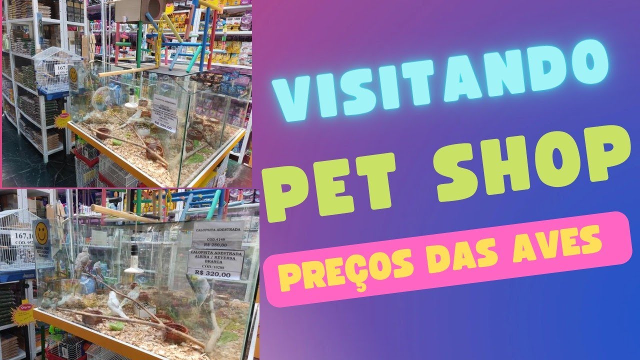 Preços das aves em pet shop