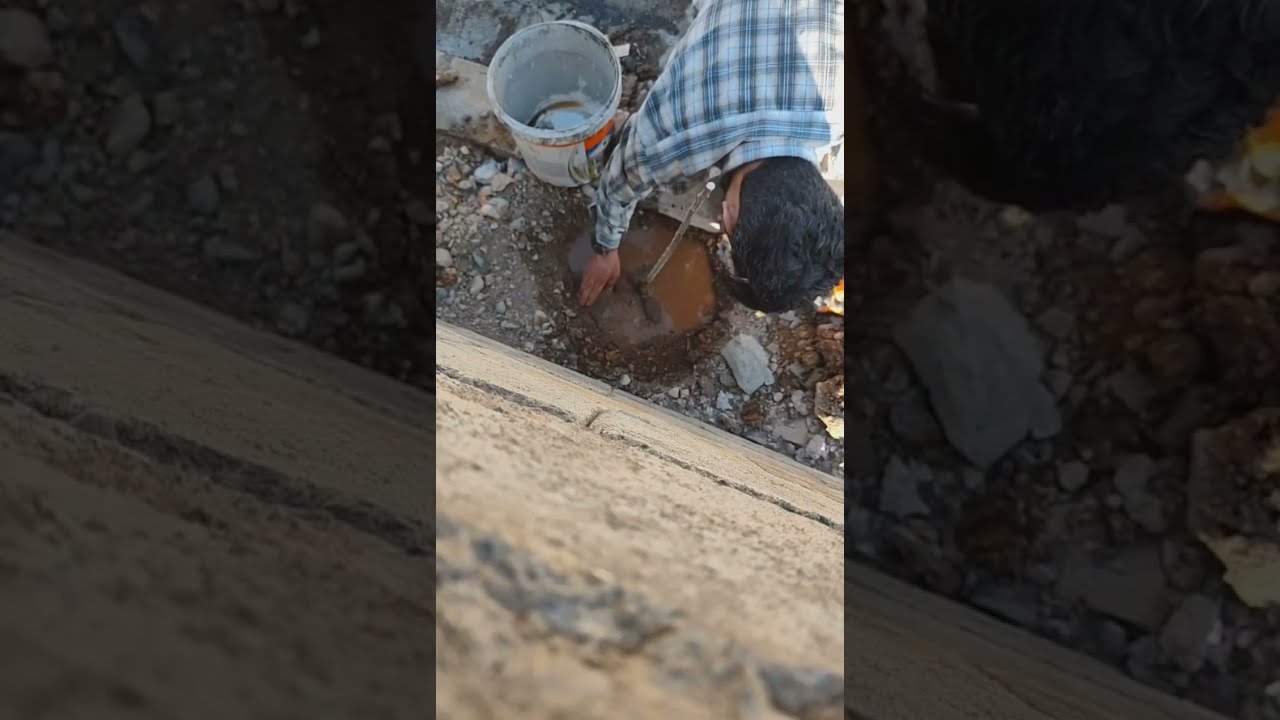 چاندنی دوو دار داری قەیسی و عەلوکە ....خەلیفان