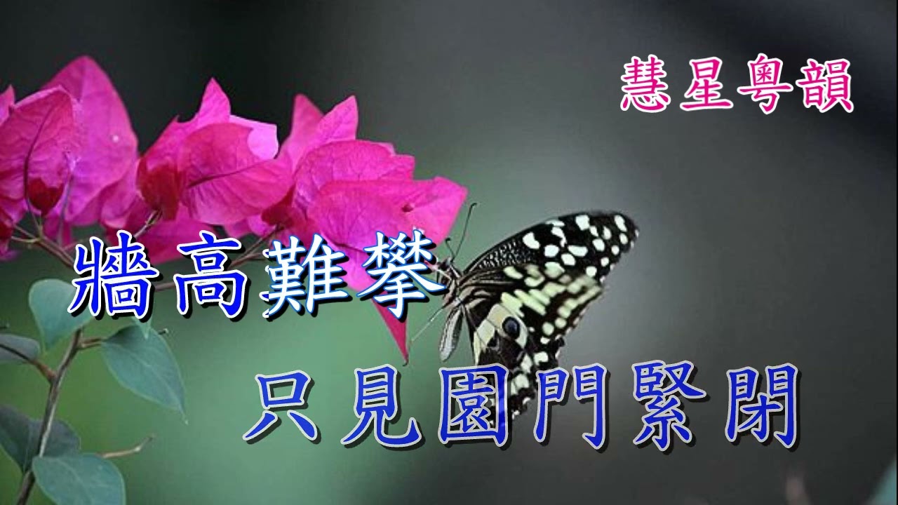 蝶影紅梨記之窺醉   蓋鳴暉 吳美英