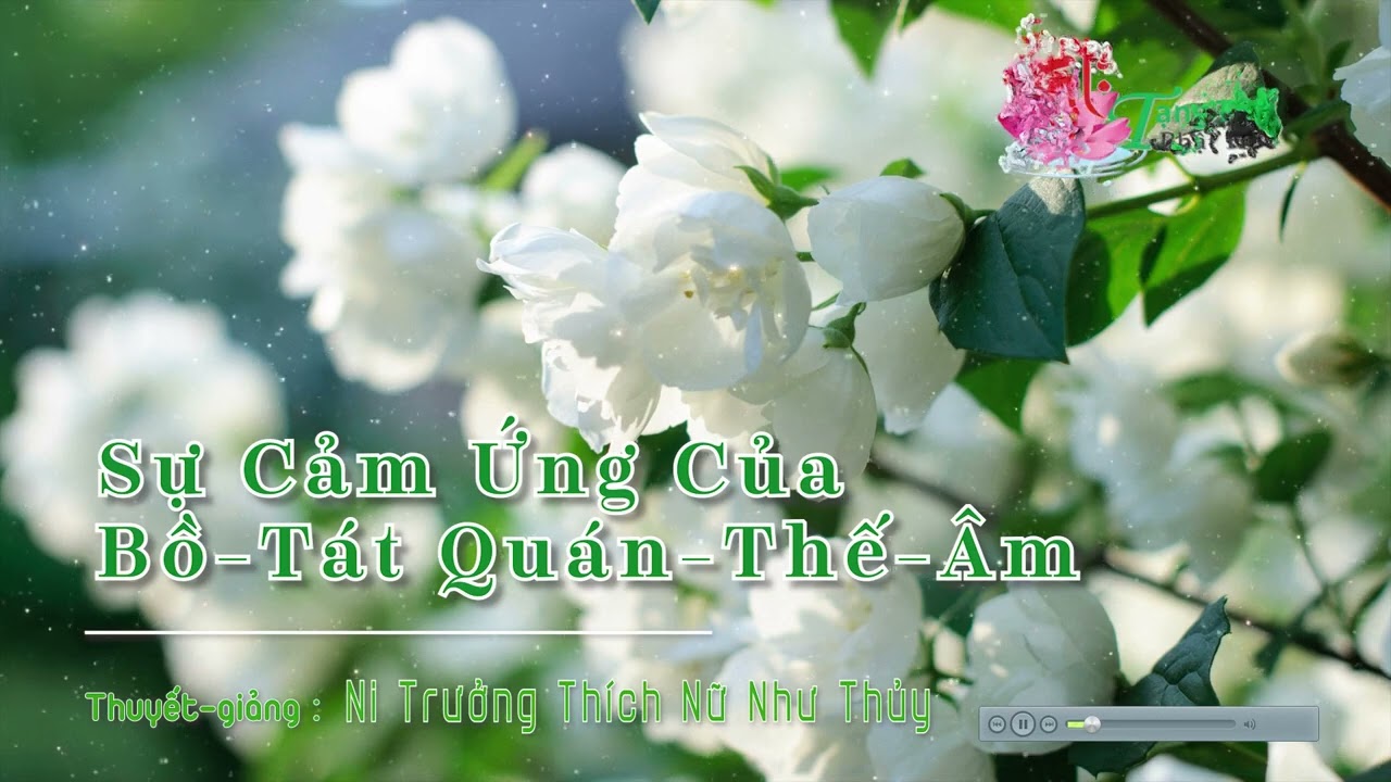 Sự Cảm Ứng Của Bồ Tát Quán Thế Âm - NT Thích Nữ Như Thủy