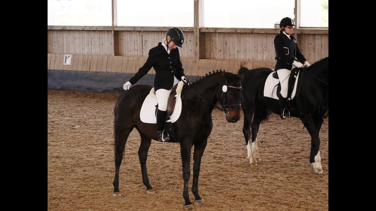 Dressurreiterwettbewerb (RE1) WBO 241 am 26.10.14