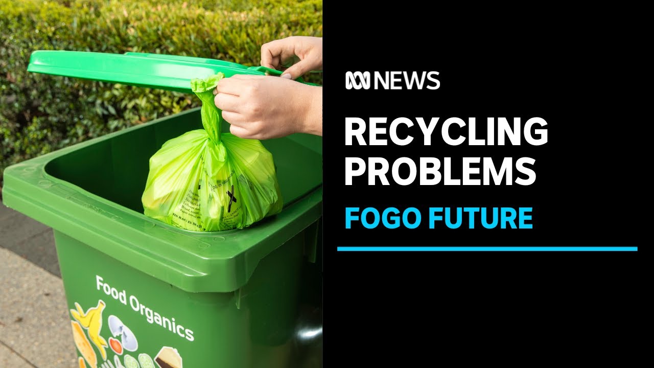 Calls for more education about FOGO recycling, amid high levels of contamination | ABC News
