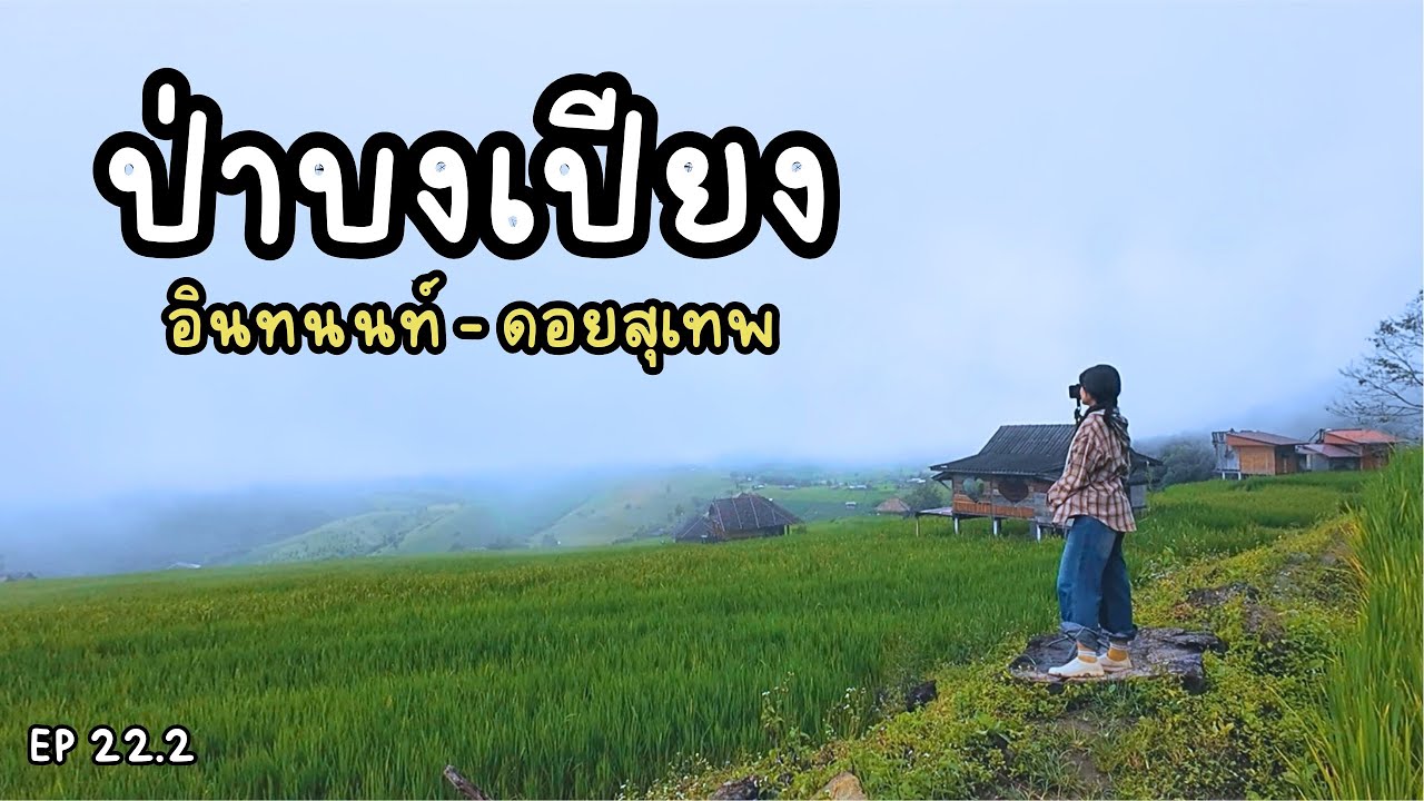 EP22.2 ป่าบงเปียง อินทนนท์ สวรรค์นาขั้นบันได ขี่รถเที่ยวเชียงใหม่หน้าฝน ไปแล้วระวังจะ..หลงรัก💚