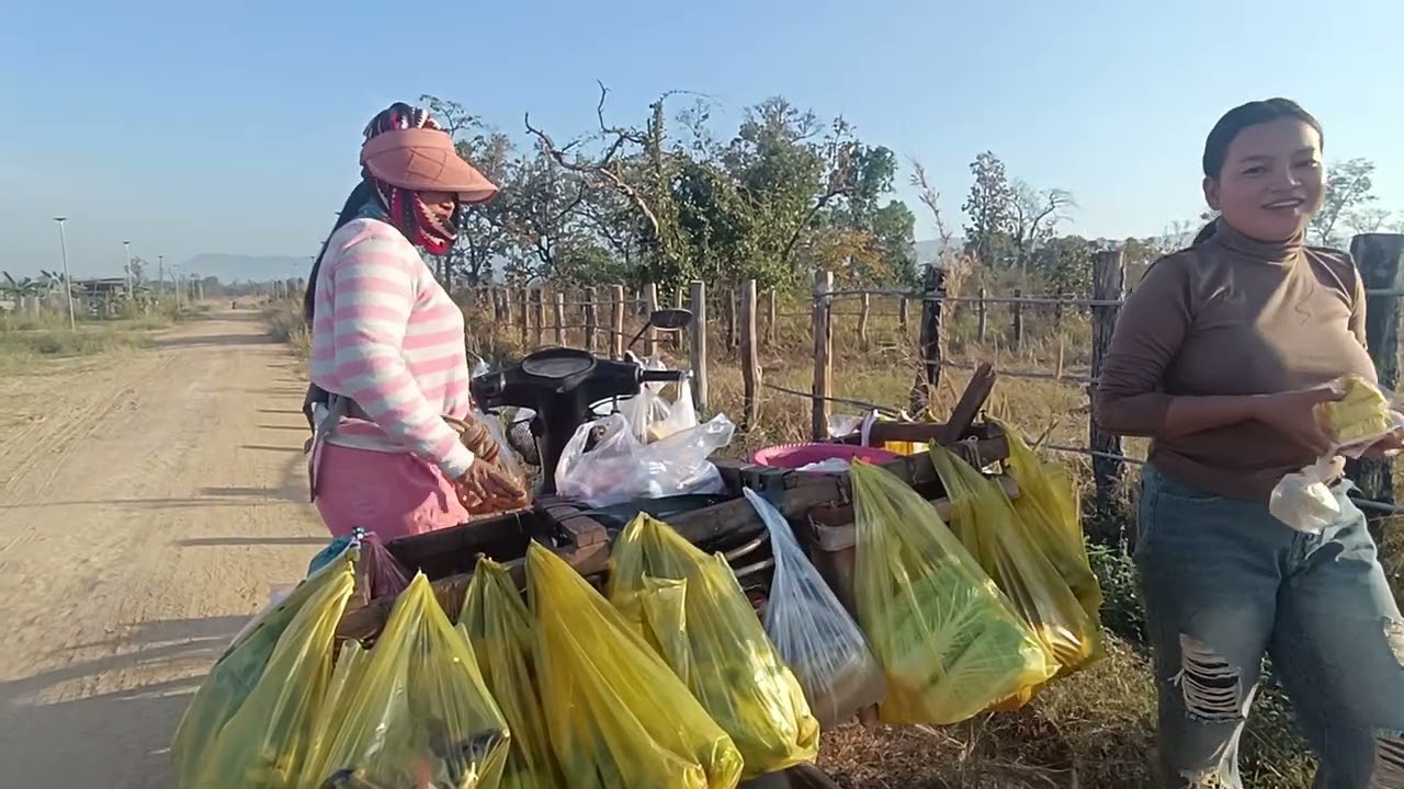 ប្រពន្ធប្អូននឿតថ្ងៃនេះច្រូតស្បូវបានល្អៗណាស់
