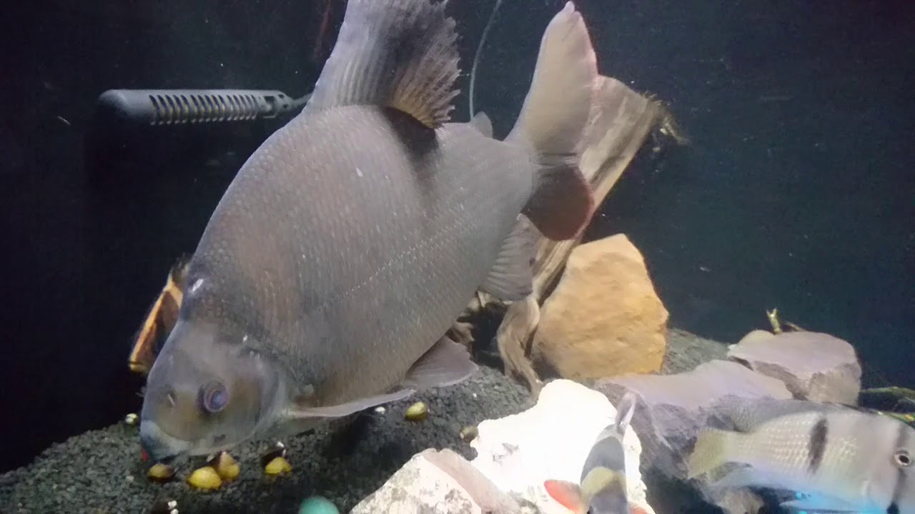 15年 隱約還能看見老九間的黑線