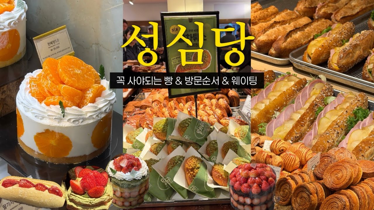 ⭐️성심당 총정리⭐️ 지점별로 꼭 사야하는 빵 list🍞 본점•케익부띠끄•대전역점•샌드위치정거장까지❗️ 신상 천혜향 시루🍊 평일 웨이팅 시간📍
