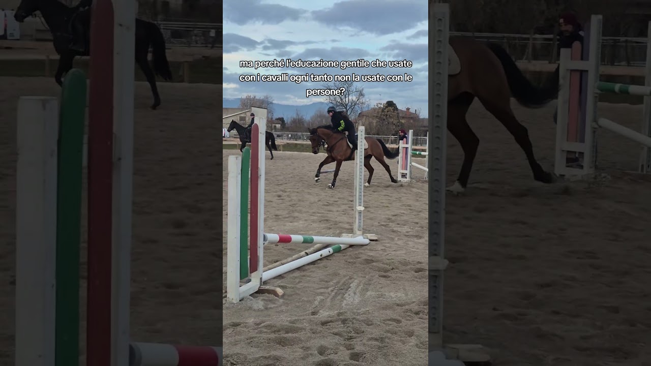 #horse