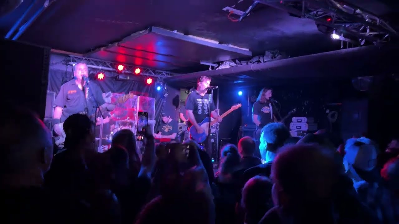 Ine Kafe - Otázka za milión LIVE