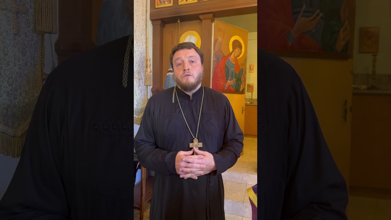 Отец Сильвестр (Кожин) о защите Дочерям Отца Даниила Сысоева 