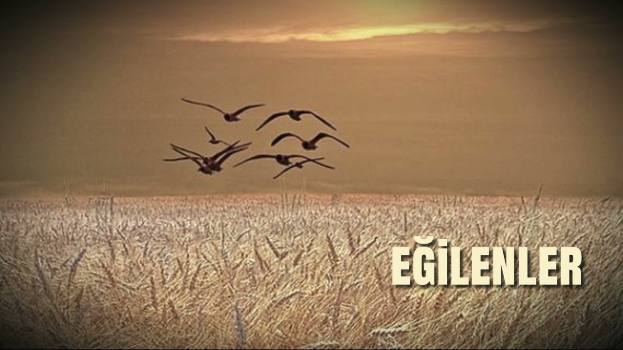 Şehirli Ozan - Eğilenler l Official music audio ® 2026