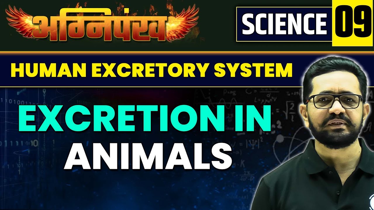 SCIENCE 9 : HUMAN EXCRETORY SYSTEM : EXCRETION IN ANIMALS | MPSC Exam | MPSC Wallah | Physics Wallah